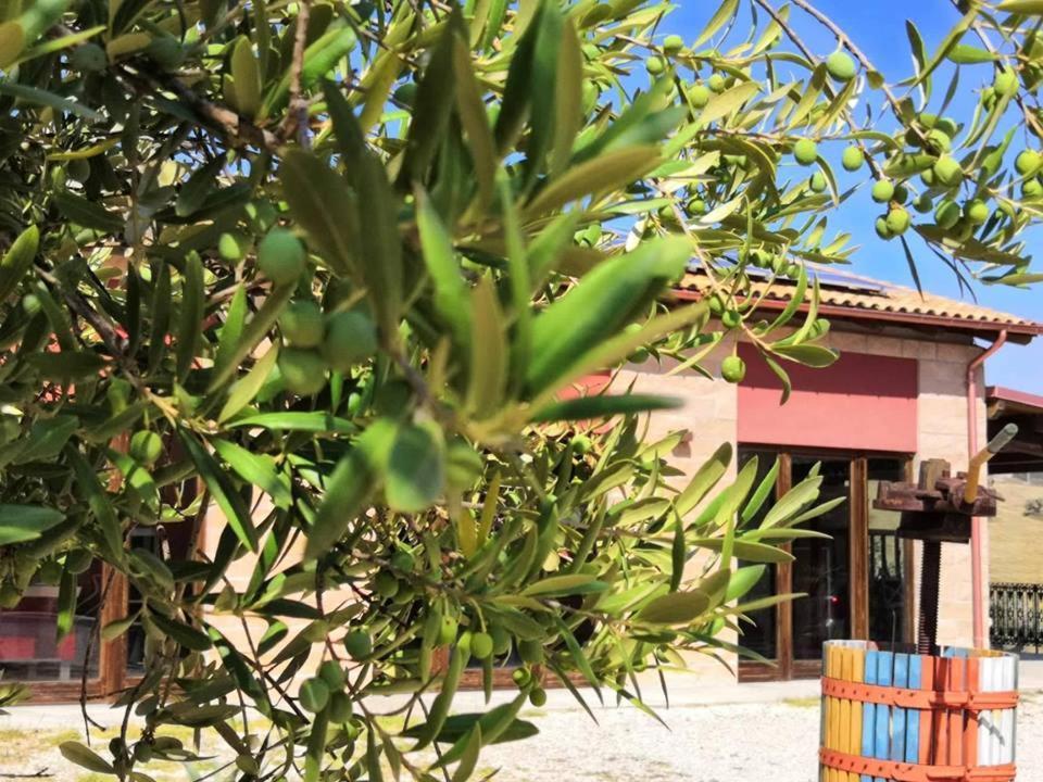 Country House Torrenera Morro d'Oro Ngoại thất bức ảnh